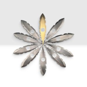 Plume de la cour - Morgue d'été